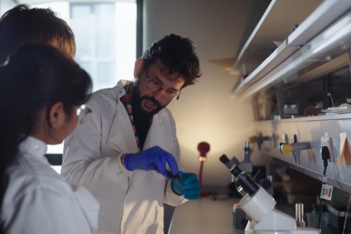 Dr Filipe Franca working with fellow researchers in a lab as part of the Voices of Amazonia initiative